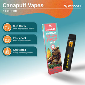 Vape de 10-OH-HHCP Big Bad Bear 95% 1ml