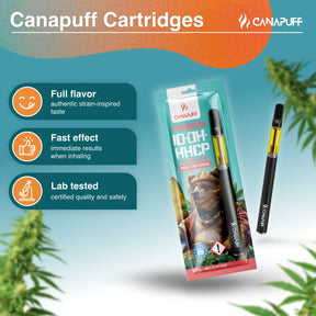Caneta + Cartucho 10-OH-HHCP Big Bad Bear 95%