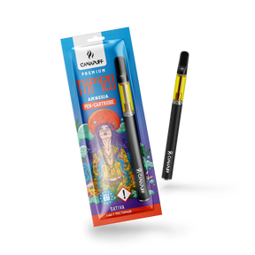 Caneta + Cartucho THP420 Amnesia 79%